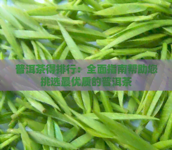 普洱茶得排行：全面指南帮助您挑选更优质的普洱茶