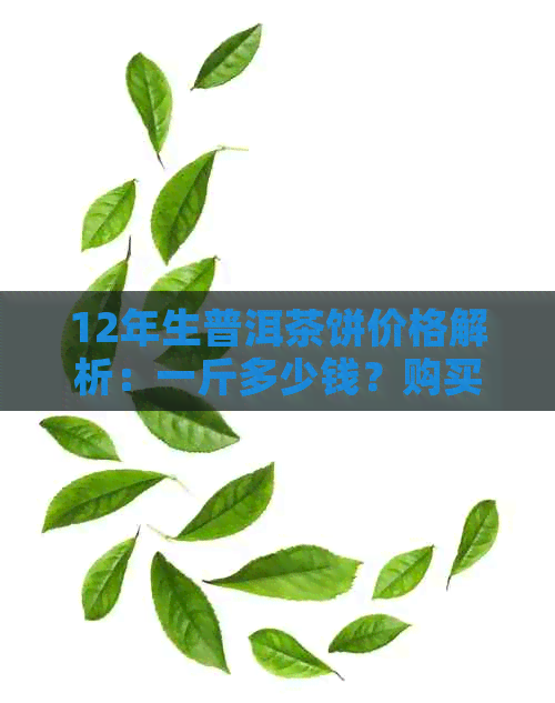 12年生普洱茶饼价格解析：一斤多少钱？购买时应注意哪些因素？