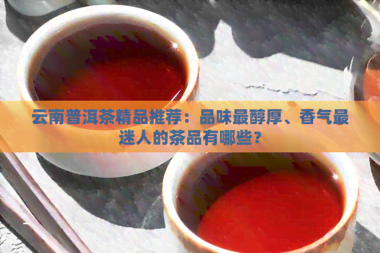 云南普洱茶精品推荐：品味最醇厚、香气最迷人的茶品有哪些？