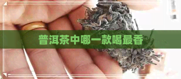 普洱茶中哪一款喝最香