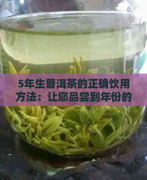 5年生普洱茶的正确饮用方法：让您品尝到年份的魅力