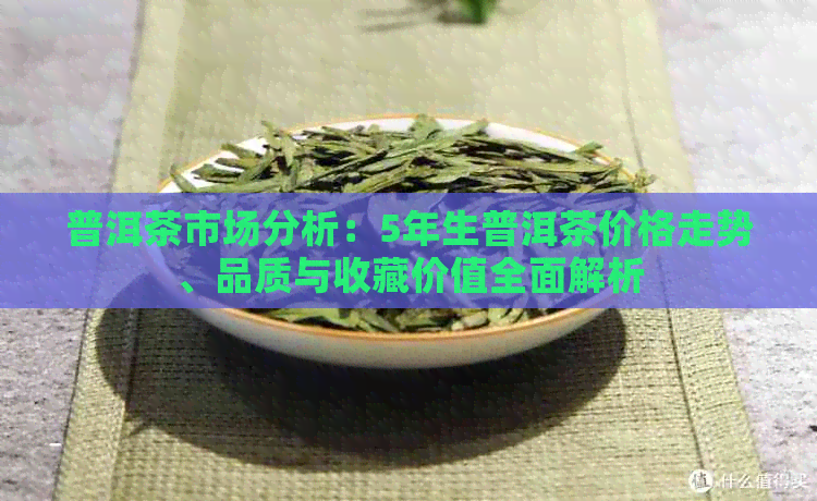 普洱茶市场分析：5年生普洱茶价格走势、品质与收藏价值全面解析