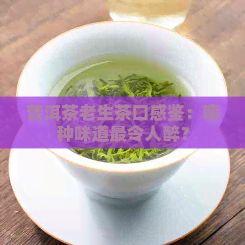 普洱茶老生茶口感鉴：哪种味道最令人醉？