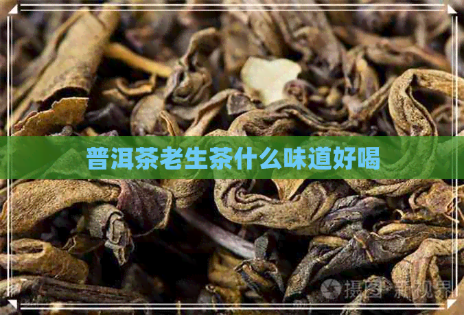 普洱茶老生茶什么味道好喝