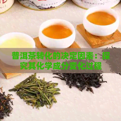 普洱茶转化的决定因素：探究其化学成分变化过程