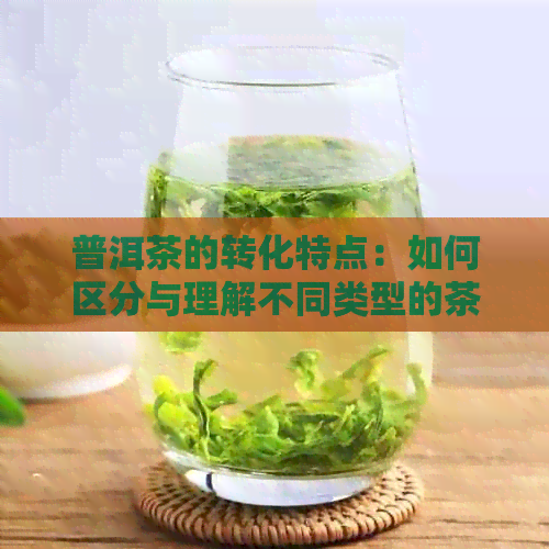 普洱茶的转化特点：如何区分与理解不同类型的茶？