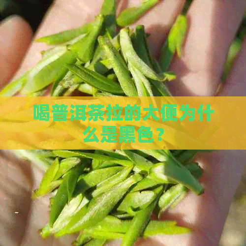 喝普洱茶拉的大便为什么是黑色？