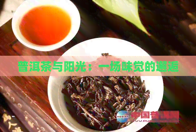 普洱茶与阳光：一场味觉的邂逅