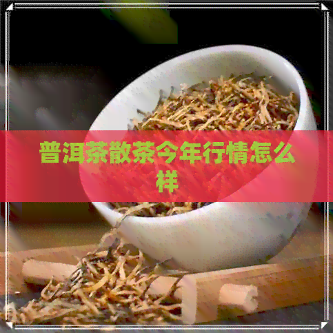 普洱茶散茶今年行情怎么样