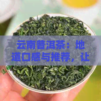 云南普洱茶：地道口感与推荐，让你品尝到真正的好茶