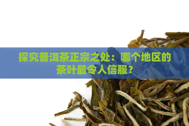 探究普洱茶正宗之处：哪个地区的茶叶最令人信服？