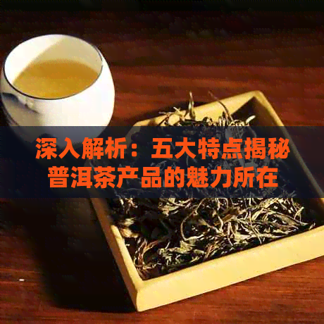 深入解析：五大特点揭秘普洱茶产品的魅力所在