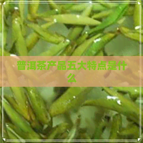 普洱茶产品五大特点是什么