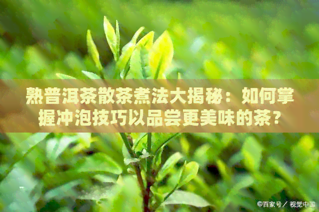 熟普洱茶散茶煮法大揭秘：如何掌握冲泡技巧以品尝更美味的茶？