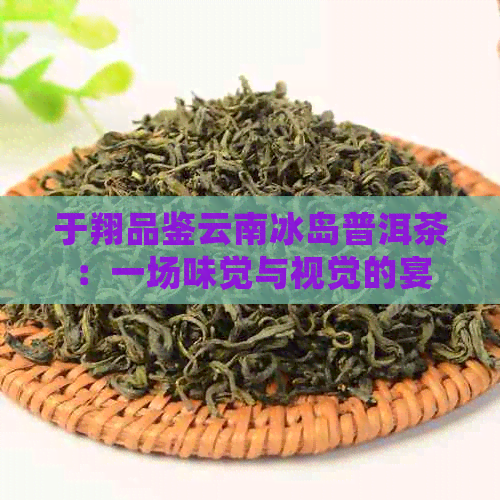 于翔品鉴云南冰岛普洱茶：一场味觉与视觉的宴