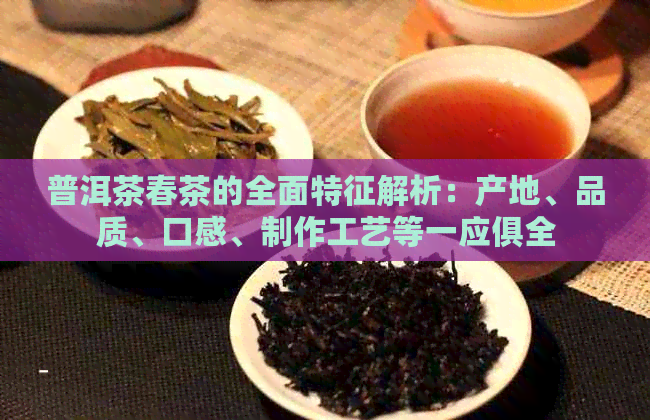 普洱茶春茶的全面特征解析：产地、品质、口感、制作工艺等一应俱全