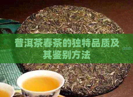 普洱茶春茶的独特品质及其鉴别方法