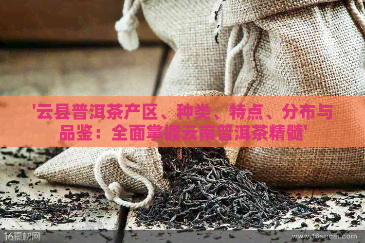 '云县普洱茶产区、种类、特点、分布与品鉴：全面掌握云南普洱茶精髓'