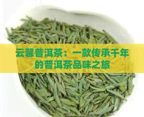 云馨普洱茶：一款传承千年的普洱茶品味之旅