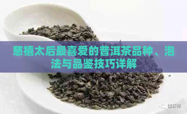 慈禧太后最喜爱的普洱茶品种、泡法与品鉴技巧详解