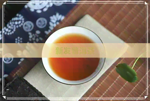 新发普洱茶