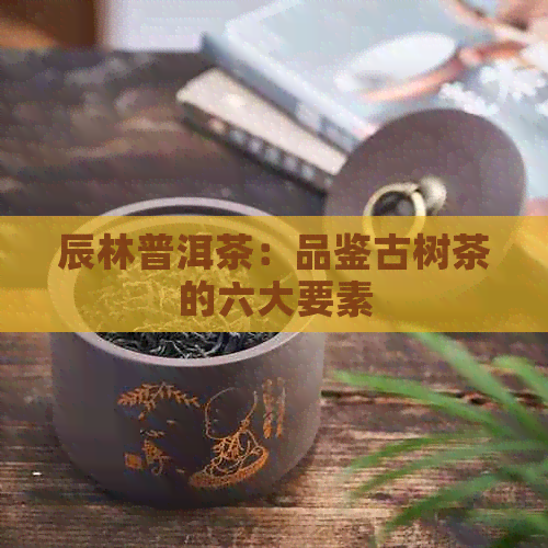 辰林普洱茶：品鉴古树茶的六大要素