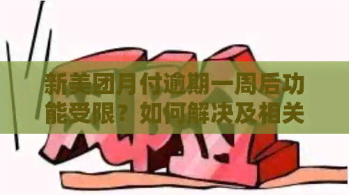 新美团月付逾期一周后功能受限？如何解决及相关注意事项