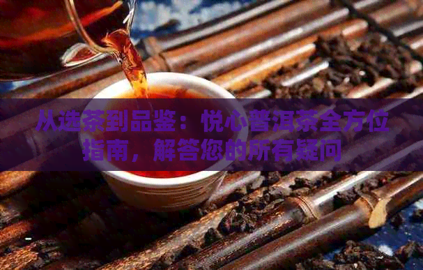 从选茶到品鉴：悦心普洱茶全方位指南，解答您的所有疑问