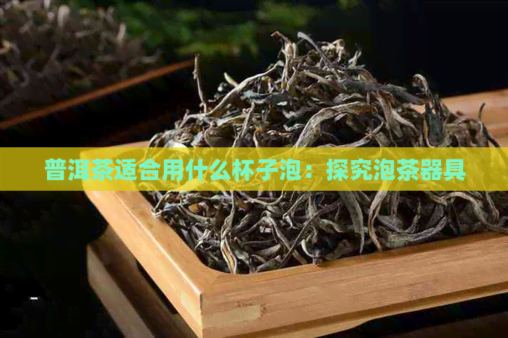 普洱茶适合用什么杯子泡：探究泡茶器具