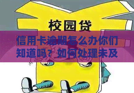 信用卡逾期怎么办你们知道吗？如何处理未及时还款的信用卡欠款？