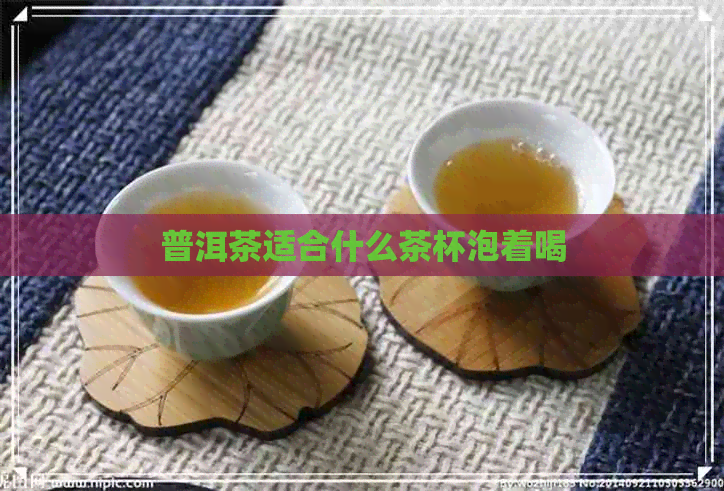 普洱茶适合什么茶杯泡着喝