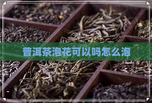 普洱茶泡花可以吗怎么泡