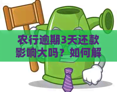 农行逾期3天还款影响大吗？如何解决？