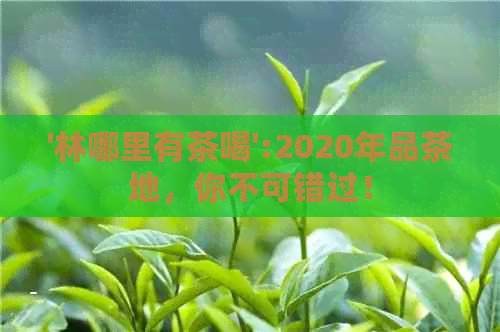 '林哪里有茶喝':2020年品茶地，你不可错过！