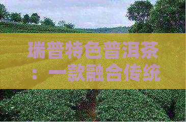 瑞普特色普洱茶：一款融合传统与创新的醇厚味道