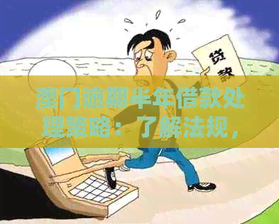 逾期半年借款处理策略：了解法规，寻求专业帮助