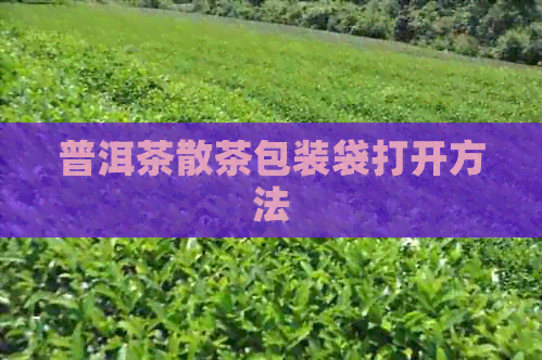 普洱茶散茶包装袋打开方法