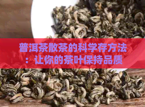 普洱茶散茶的科学存方法：让你的茶叶保持品质