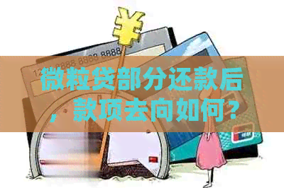 微粒贷部分还款后，款项去向如何？未能按时还款会产生什么后果？