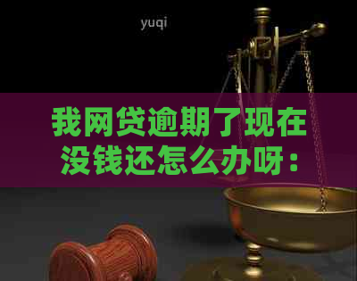 我网贷逾期了现在没钱还怎么办呀：如何应对网贷逾期，没有钱还的解决办法？