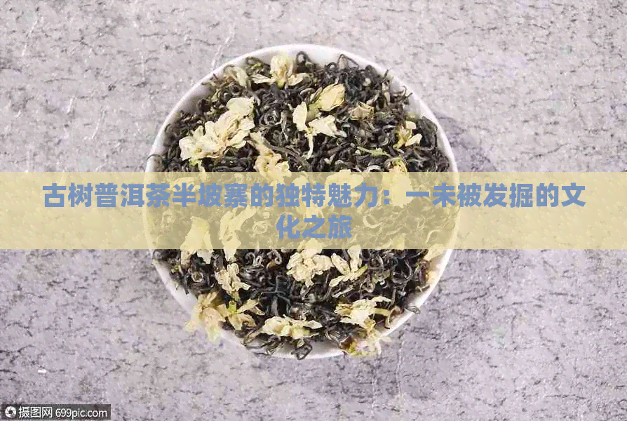 古树普洱茶半坡寨的独特魅力：一未被发掘的文化之旅