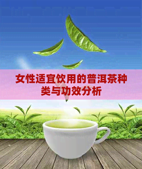 女性适宜饮用的普洱茶种类与功效分析