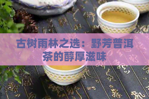 古树雨林之选：野芳普洱茶的醇厚滋味