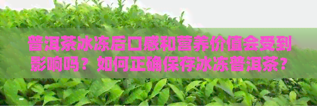 普洱茶冰冻后口感和营养价值会受到影响吗？如何正确保存冰冻普洱茶？