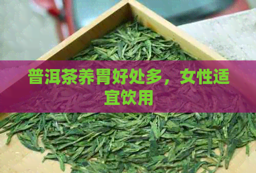 普洱茶养胃好处多，女性适宜饮用