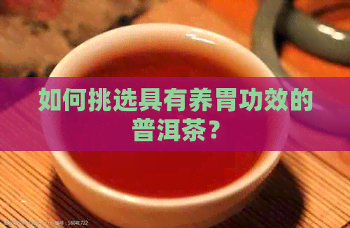 如何挑选具有养胃功效的普洱茶？