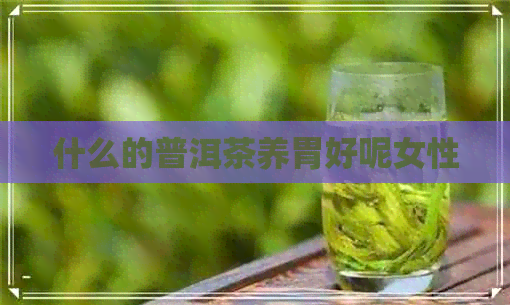 什么的普洱茶养胃好呢女性