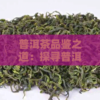 普洱茶品鉴之道：探寻普洱茶真谛的秘密