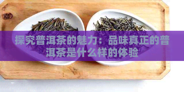 探究普洱茶的魅力：品味真正的普洱茶是什么样的体验