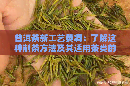 普洱茶新工艺萎凋：了解这种制茶方法及其适用茶类的全面指南